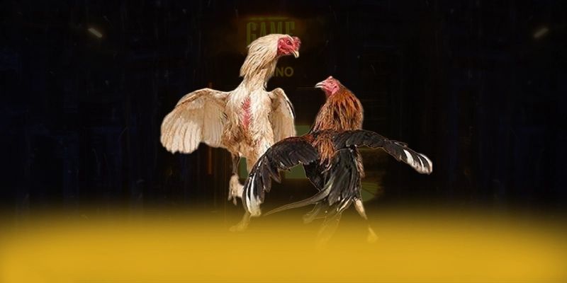 VWIN - Cổng game được cấp phép được người chơi tin dùng – Khám phá cơ chế bảo mật hiện đại tại VWIN