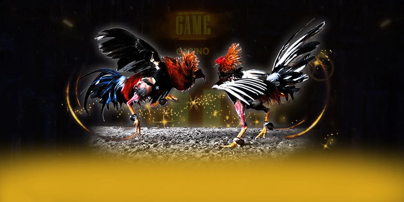 
Khám phá hành trình của VWIN - Nhà cái được tin dùng cho người chơi
