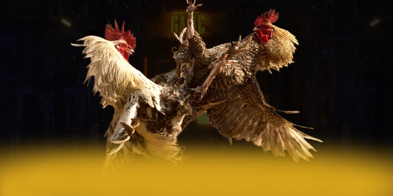 SA88 – Sảnh game có thưởng lớn, khẳng định vị thế hàng đầu tại Việt Nam.