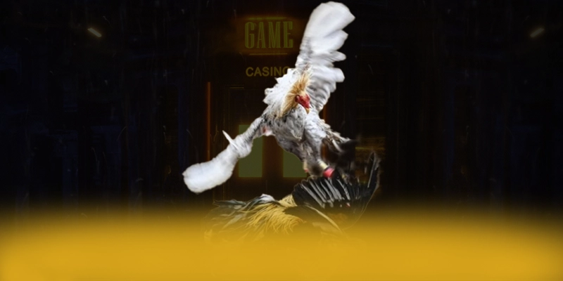 
Khám phá ngay tài xỉu online - Nhà cái được đánh giá cao được cộng đồng đánh giá cao
