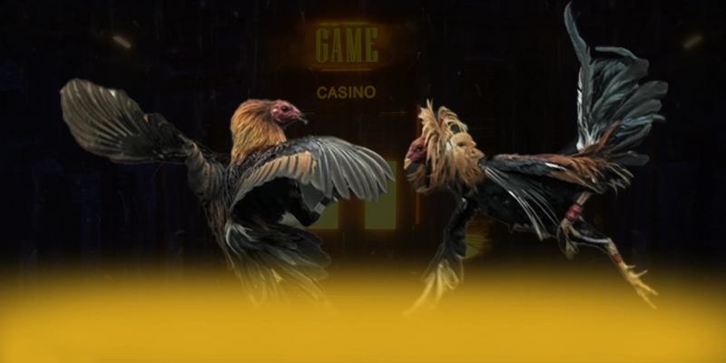 DAGA88 - Nền tảng cá cược trực tuyến được cộng đồng tin tưởng 2025 – Đánh giá DAGA88