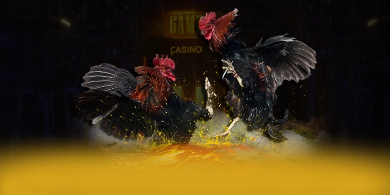 N88 - Kết bài với góc nhìn khách quan.