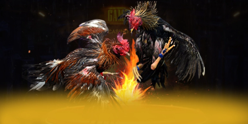 DAGA88 - Cổng trò chơi đang được quan tâm hàng đầu được yêu thích nhất – Trải nghiệm DAGA88