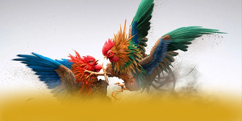 DAGA88 - Cổng game được cộng đồng săn đón 2025 – Điểm qua DAGA88