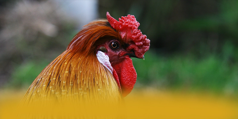 KKWIN - Thương hiệu game trực tuyến với nhiều tựa game đổi thưởng hấp dẫn 2025 – Khám phá KKWIN