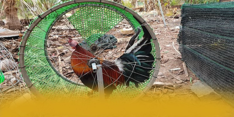 AU88 - Đánh giá tổng thể dưới góc nhìn chuyên môn.